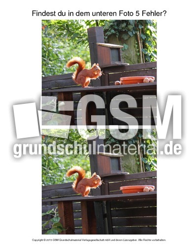 Fehlersuche-Eichhörnchen-Foto-3.pdf